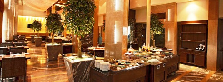 581/Radisson Blu Hotel Chennai City Centre - Chennai 05.jpg